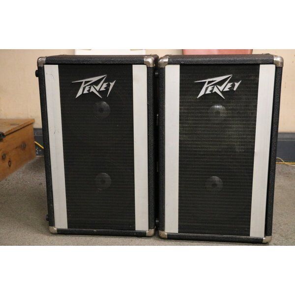 Peavey 210 Column 16-Ohm 70 Watt 2x10" Speaker Enclosure Black/Silver Pair - SOLD
